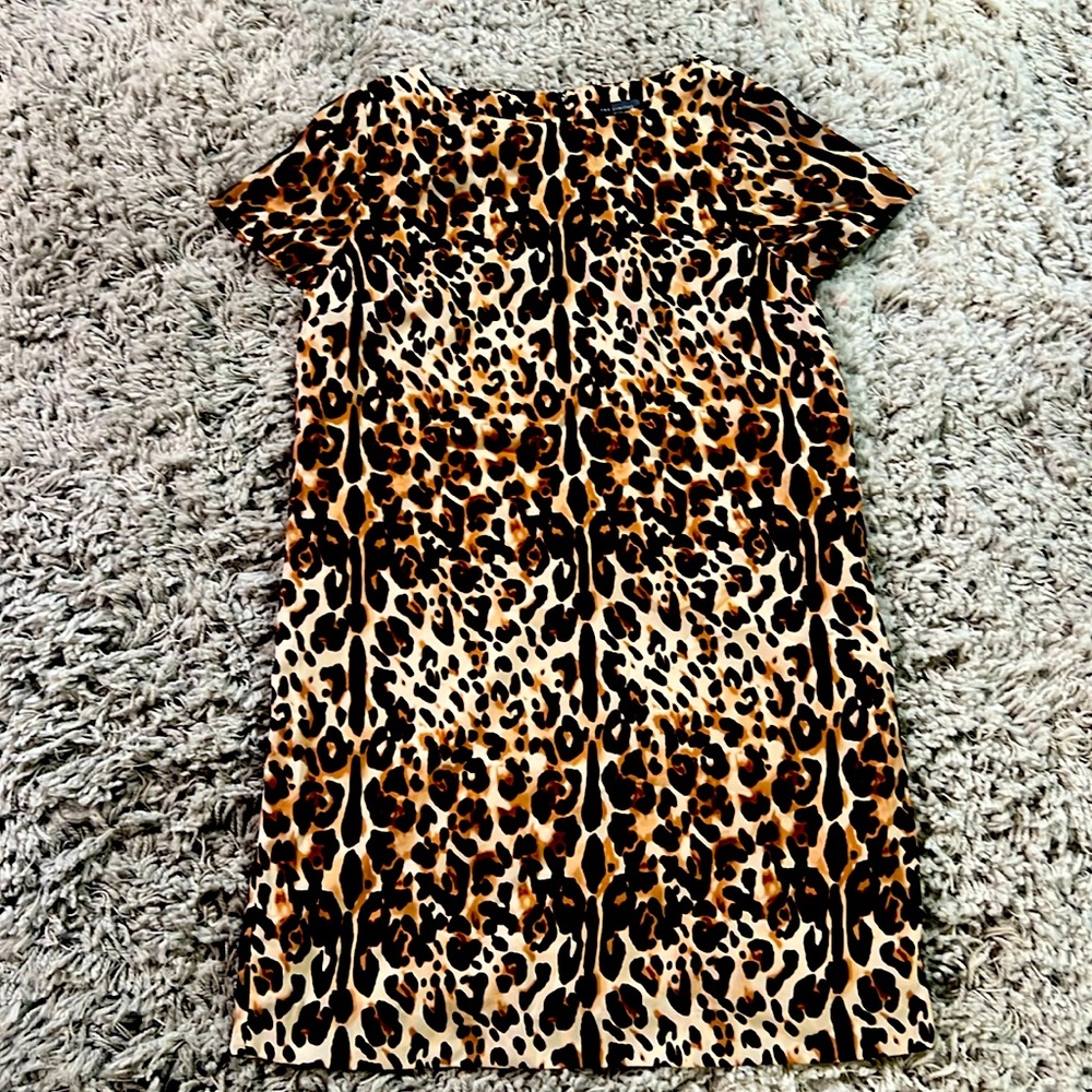 The Limited, Sz. MP.  Leopard print cap sleeve woven shift dress